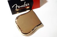 Fender TE BG Cover Go